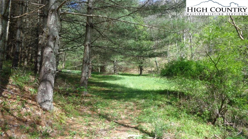 Image number 16 for the current listing