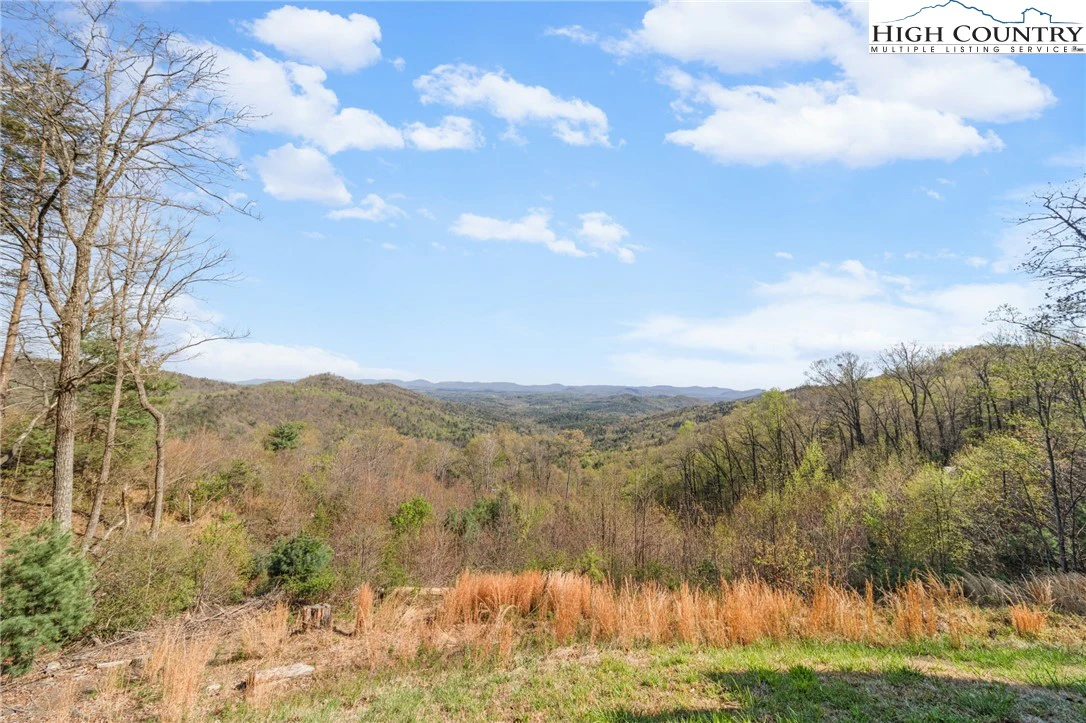 Image number 19 for the current listing