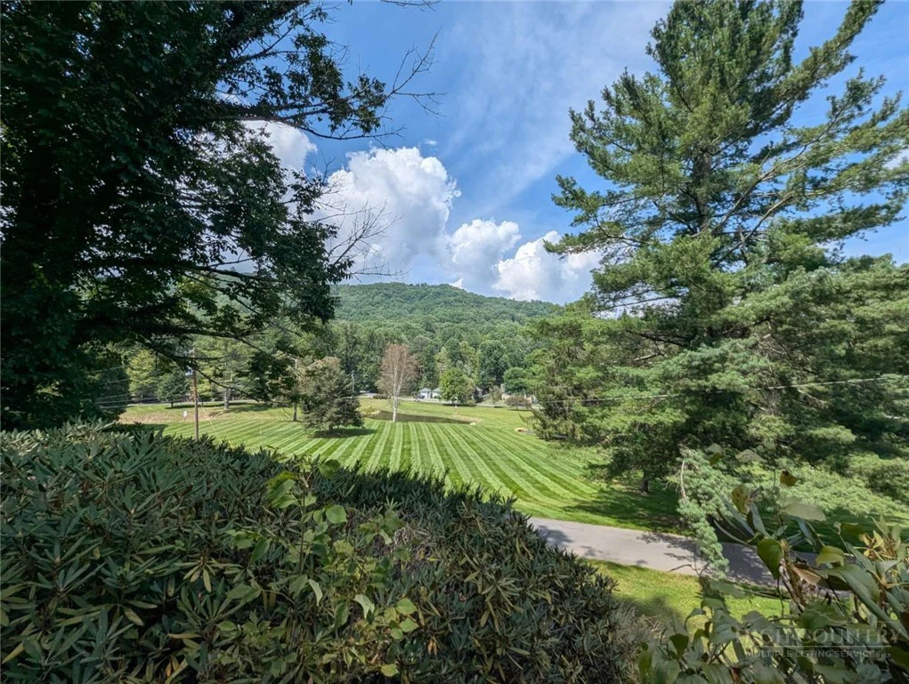 Image number 2 for the current listing