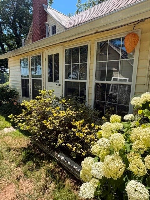Image number 1 for the current listing
