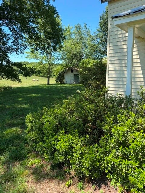 Image number 4 for the current listing