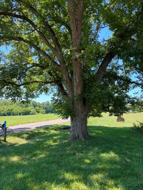 Image number 5 for the current listing
