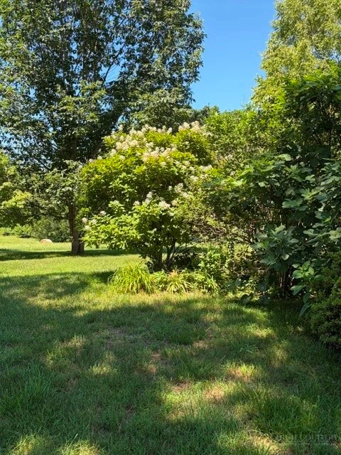 Image number 6 for the current listing