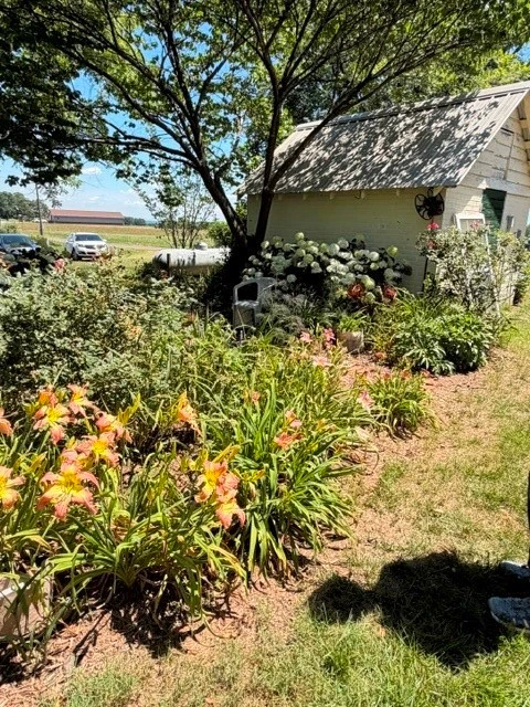 Image number 13 for the current listing