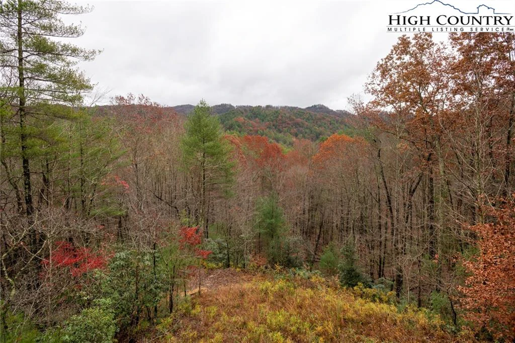 Image number 14 for the current listing