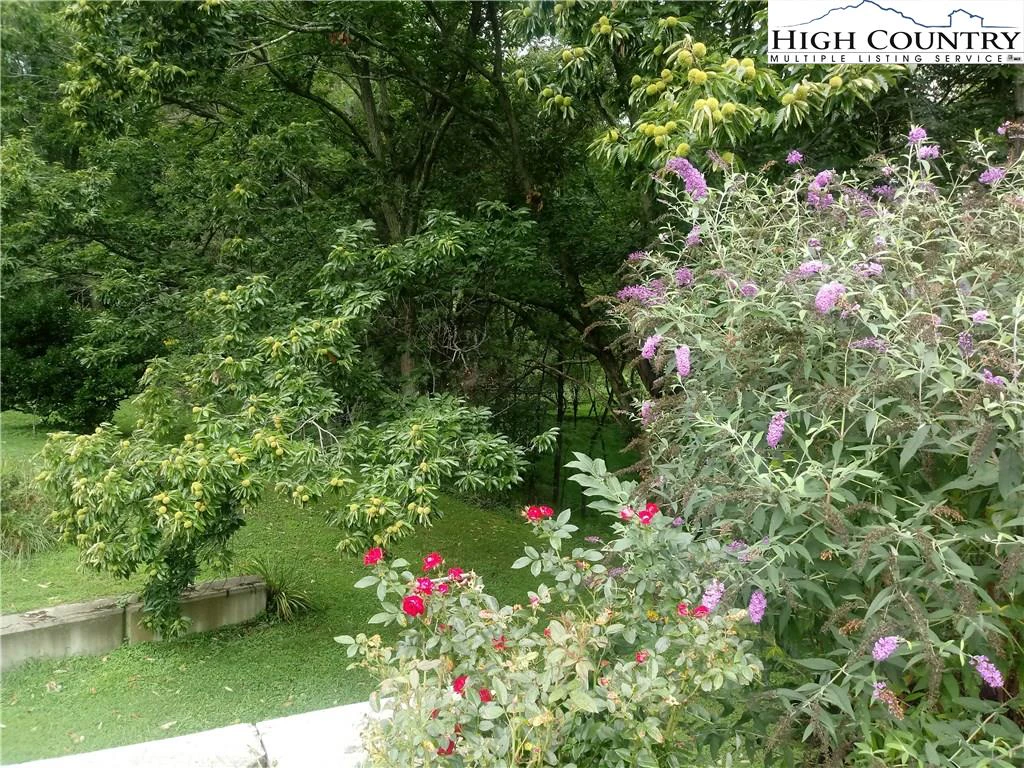 Image number 17 for the current listing