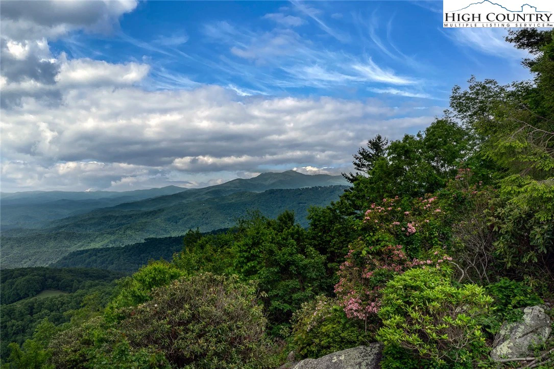 Image number 1 for the current listing