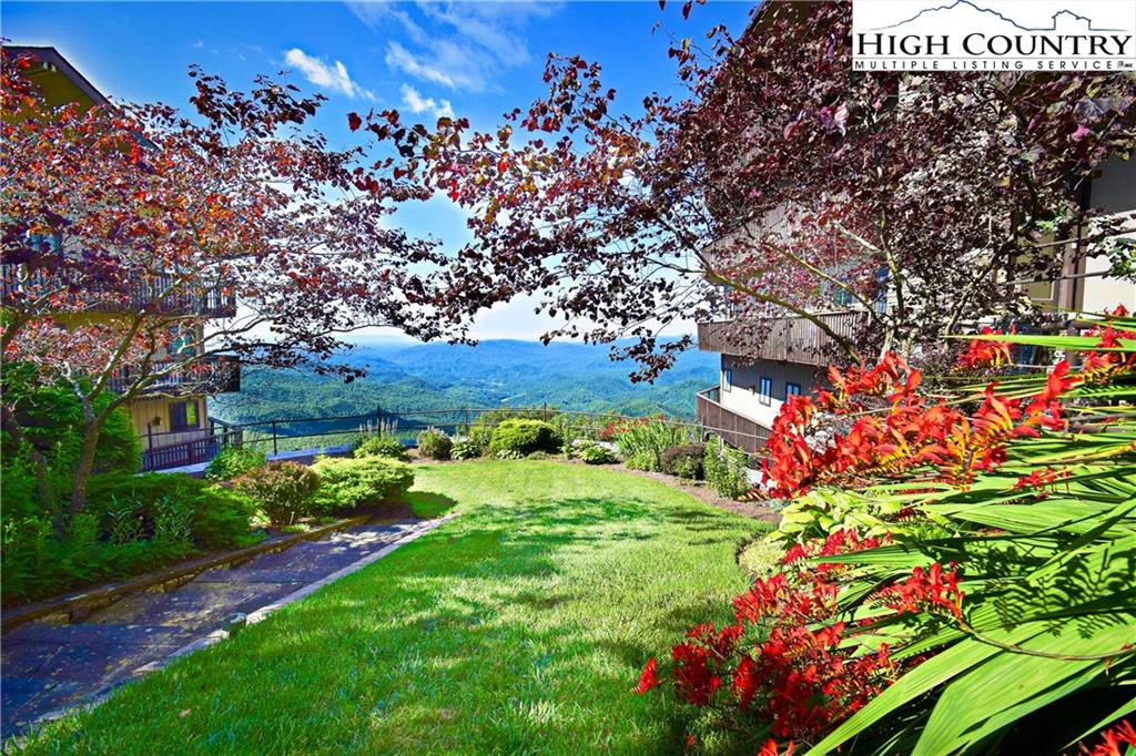 Image number 4 for the current listing