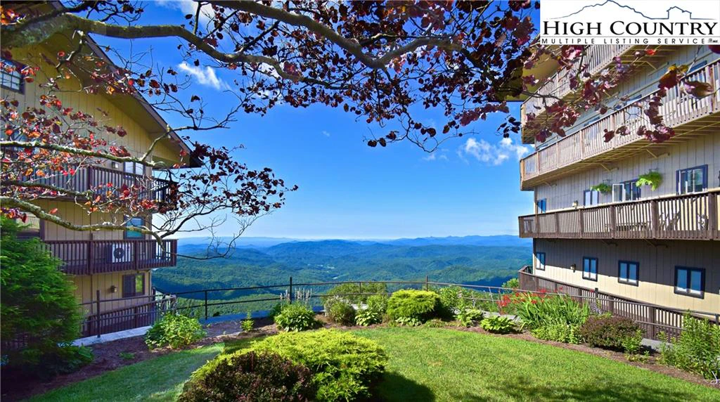 Image number 5 for the current listing