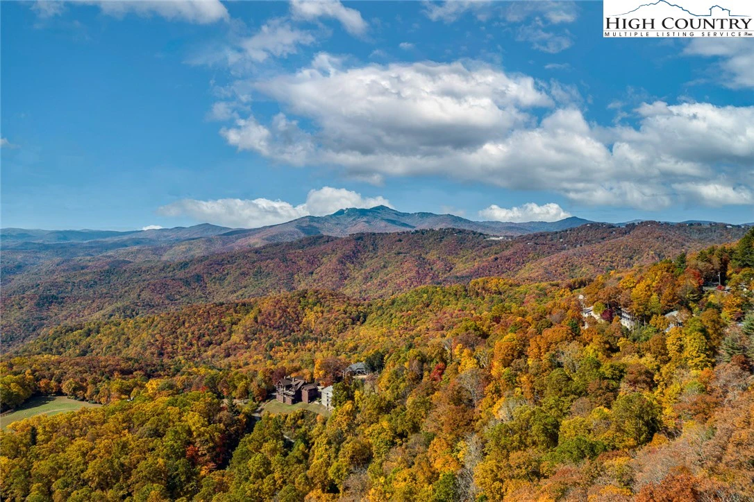 Image number 1 for the current listing