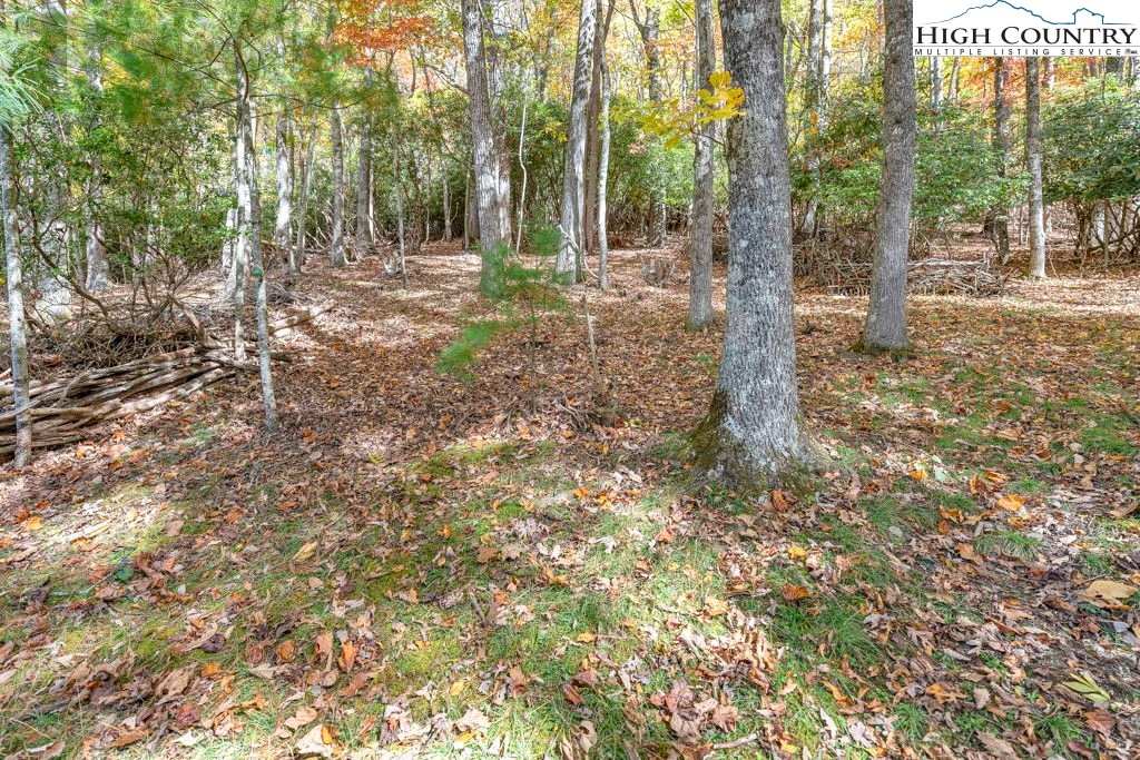 Image number 17 for the current listing