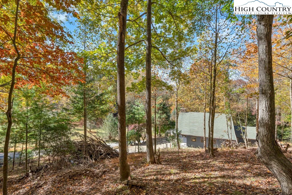 Image number 19 for the current listing