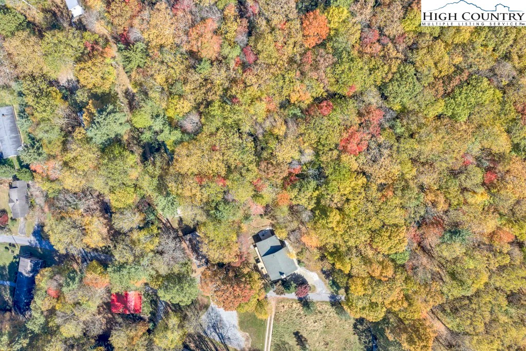 Image number 21 for the current listing