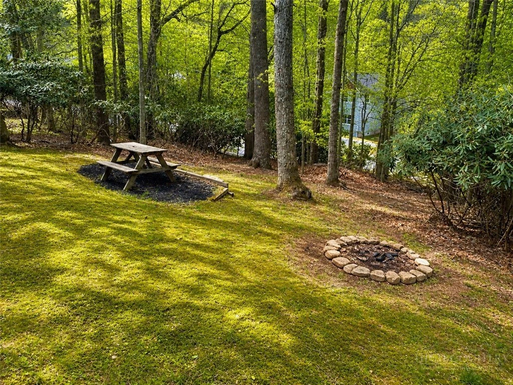Image number 13 for the current listing