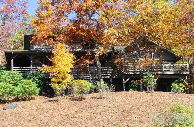 Image number 12 for the current listing
