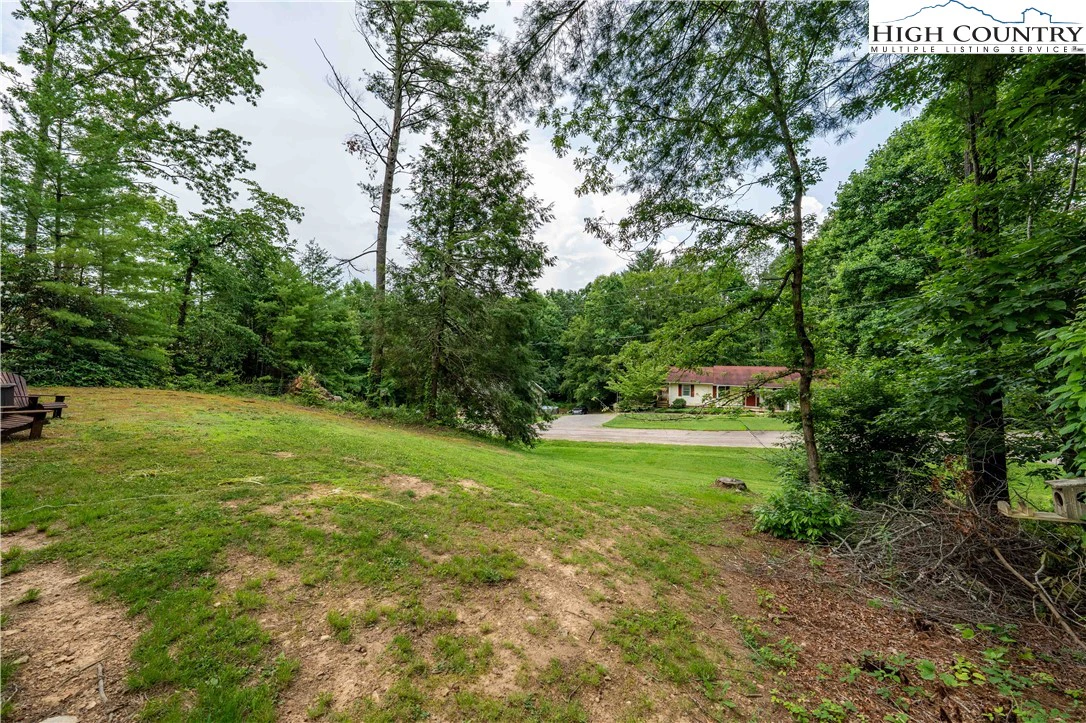 Image number 7 for the current listing