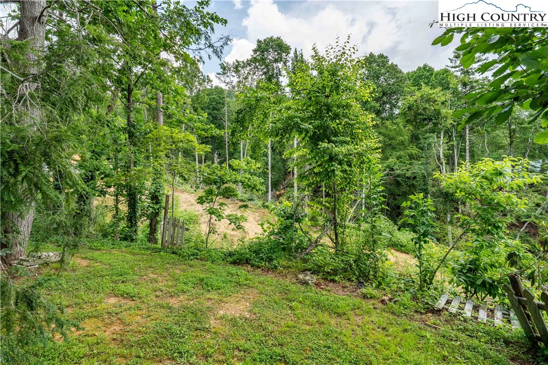 Image number 2 for the current listing