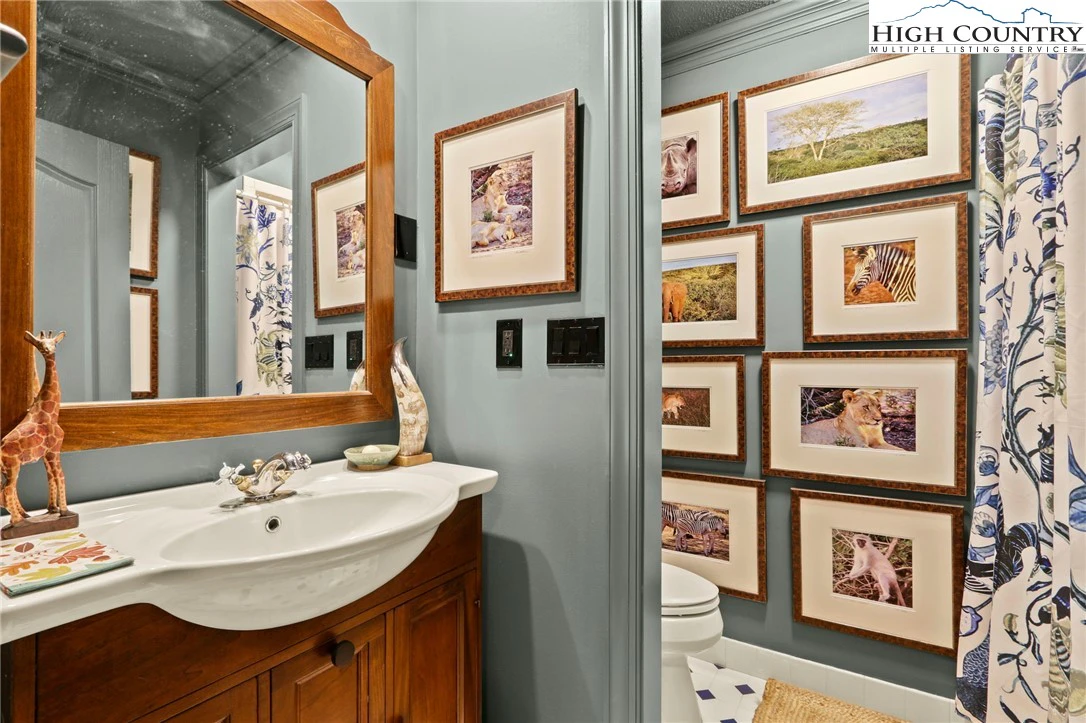 Image number 13 for the current listing