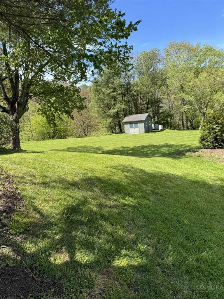 Image number 4 for the current listing
