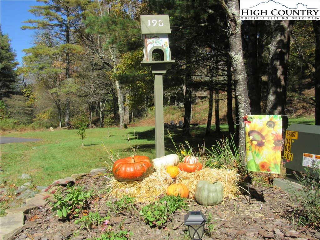 Image number 6 for the current listing
