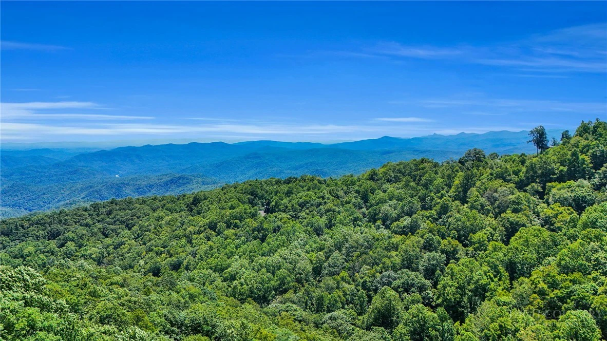 Image number 2 for the current listing