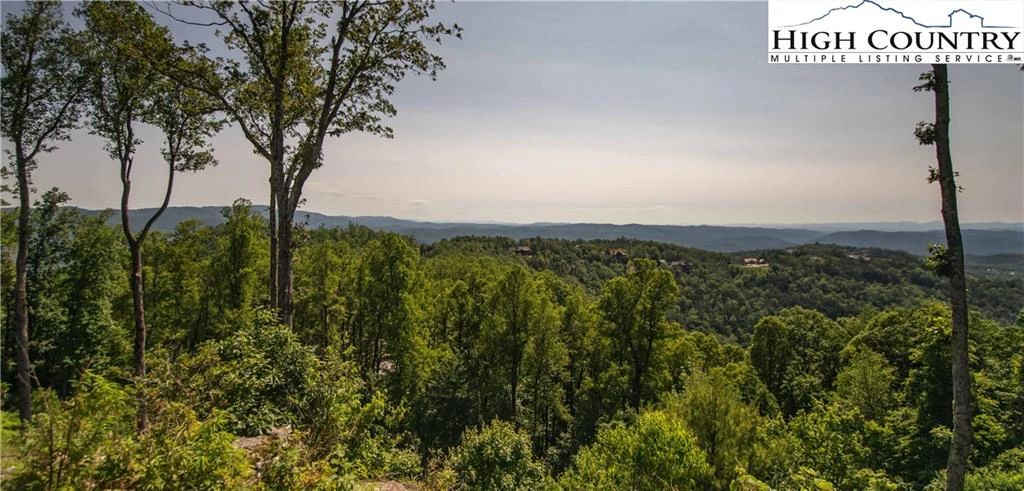Image number 12 for the current listing