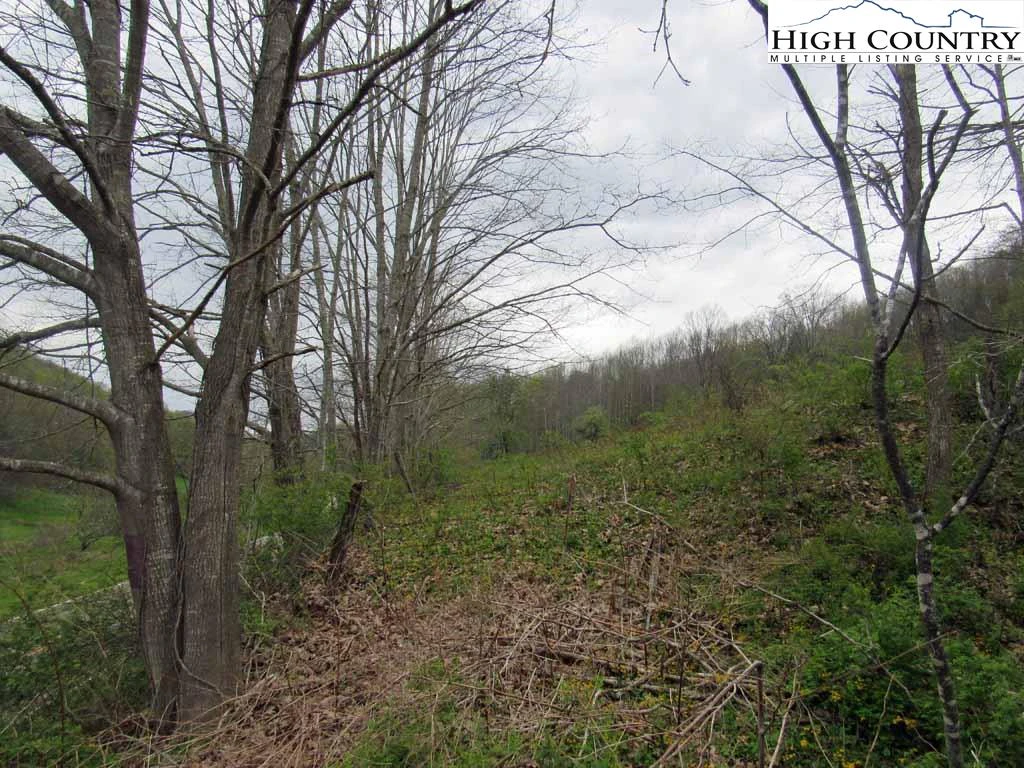 Image number 12 for the current listing