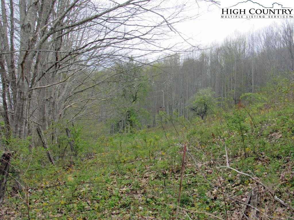 Image number 11 for the current listing