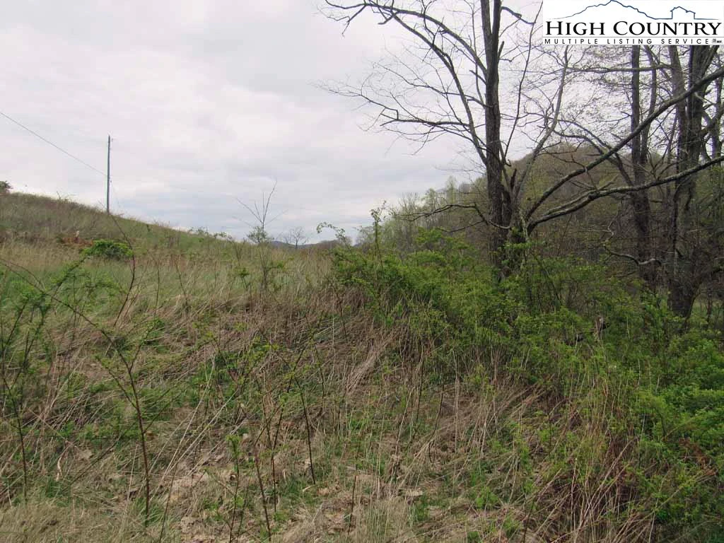 Image number 7 for the current listing