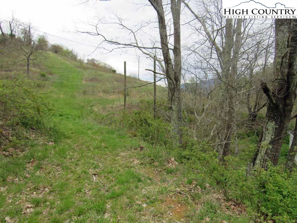 Image number 5 for the current listing