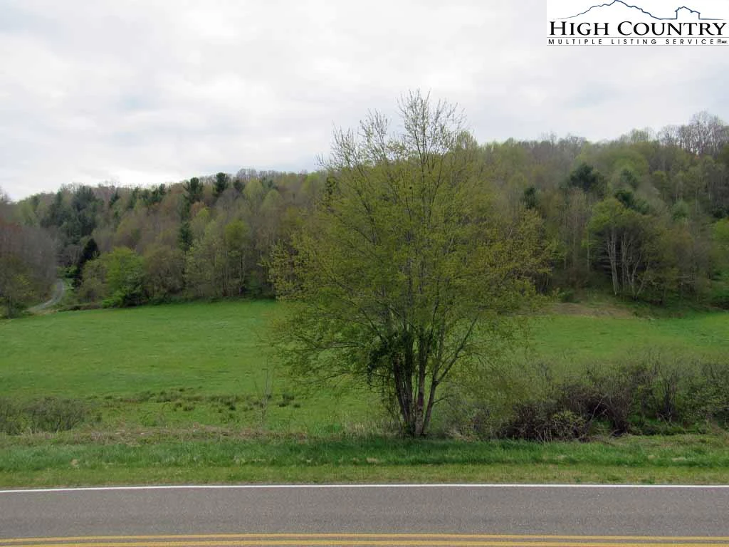 Image number 4 for the current listing