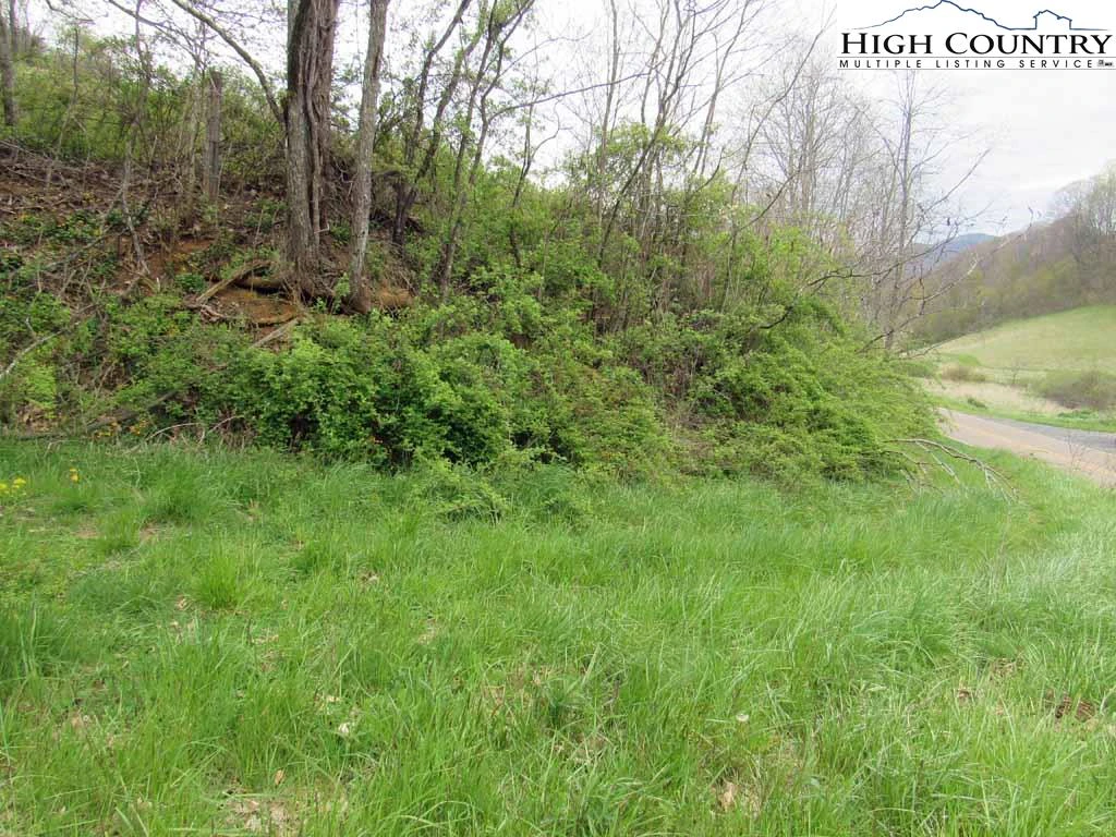 Image number 3 for the current listing