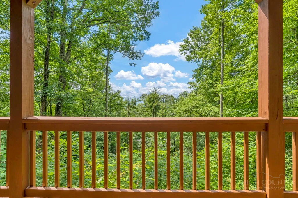 Image number 4 for the current listing