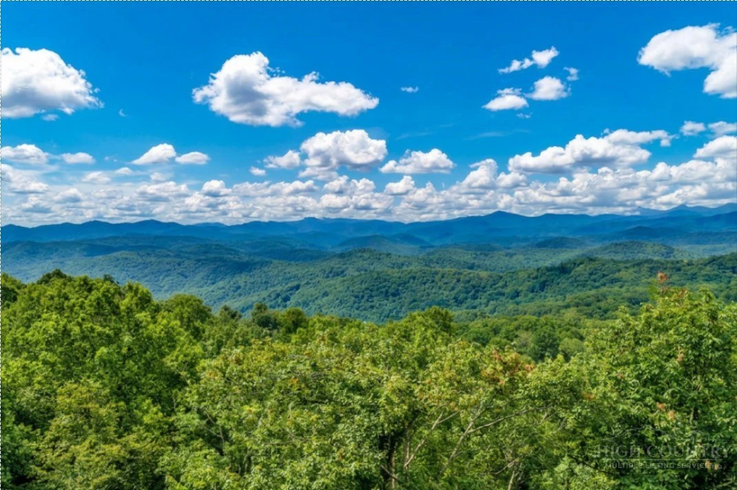 Image number 2 for the current listing