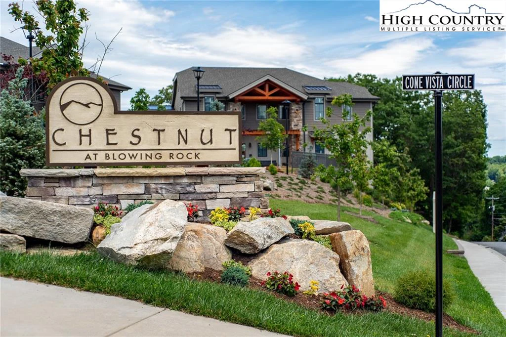 Image number 1 for the current listing