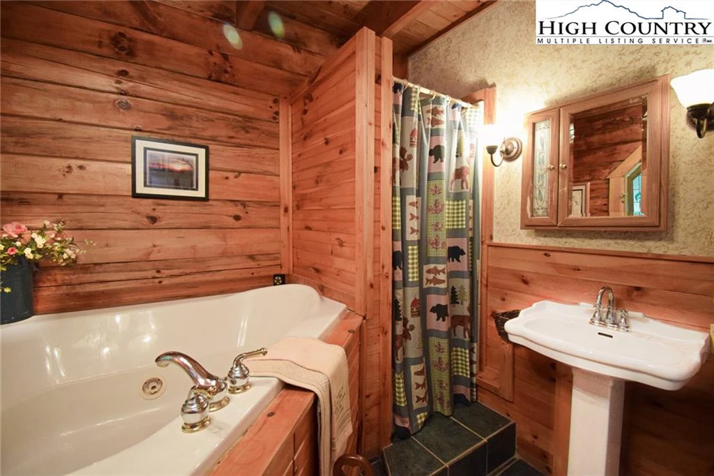 Image number 4 for the current listing