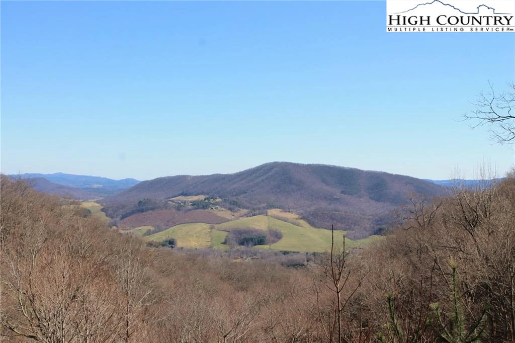 Image number 2 for the current listing