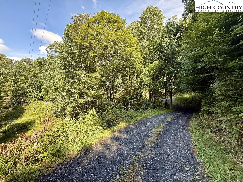 Image number 6 for the current listing