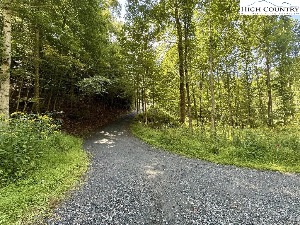 Image number 4 for the current listing