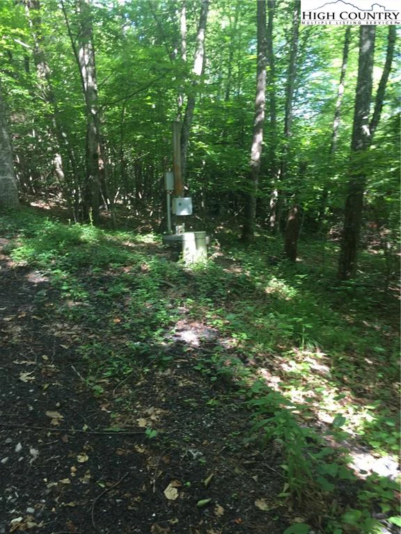 Image number 4 for the current listing