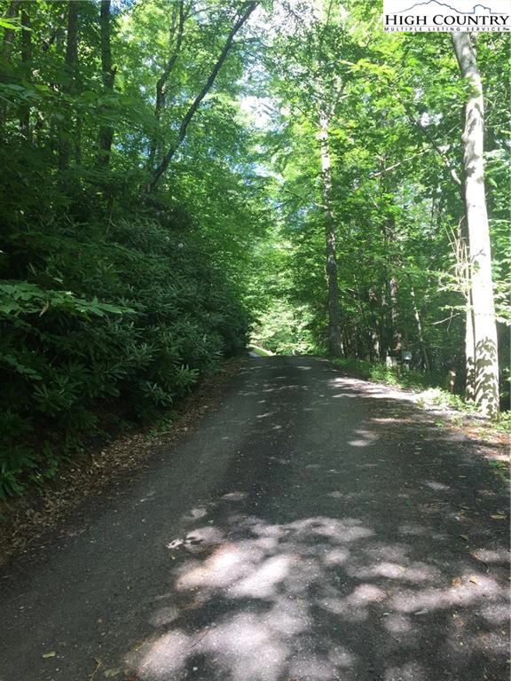 Image number 5 for the current listing