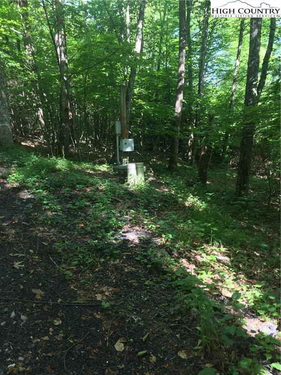 Image number 7 for the current listing