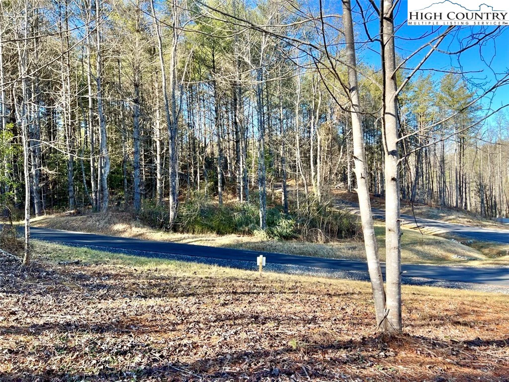 Image number 1 for the current listing