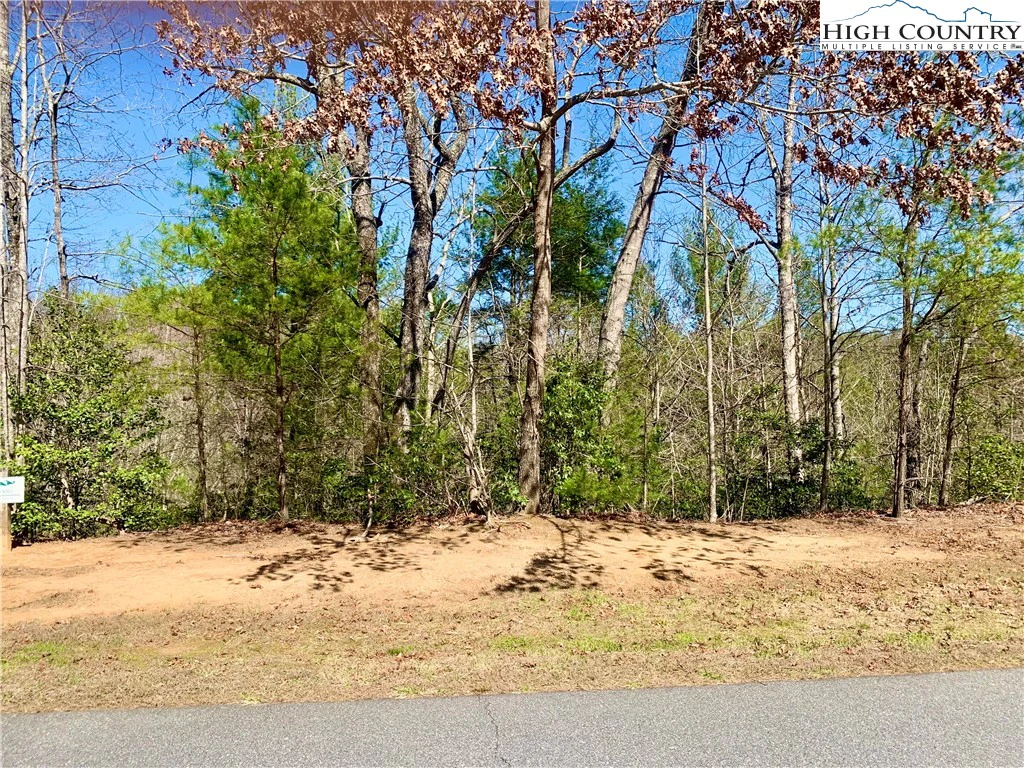 Image number 1 for the current listing