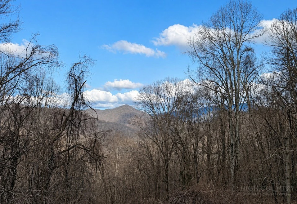 Image number 1 for the current listing