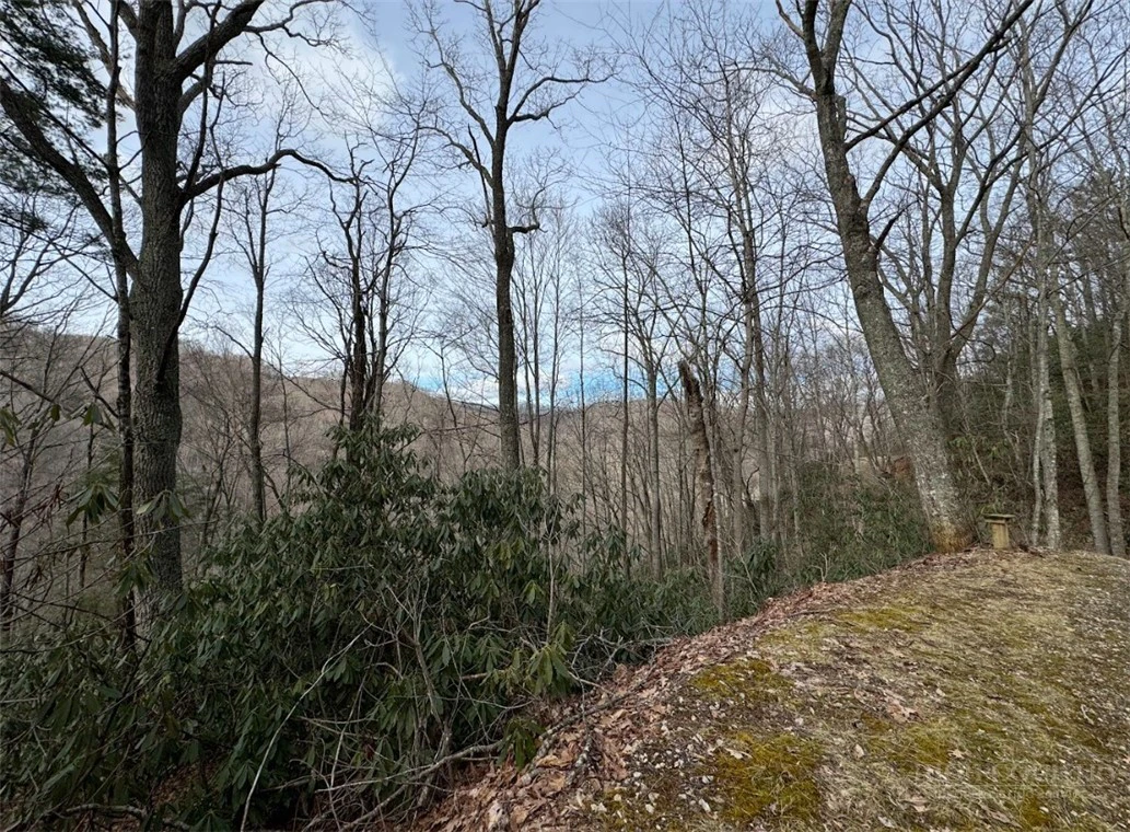 Image number 6 for the current listing