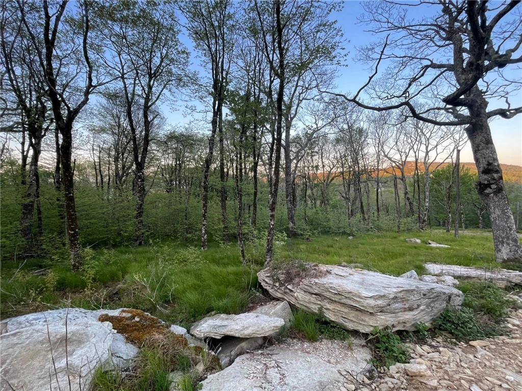 Image number 2 for the current listing