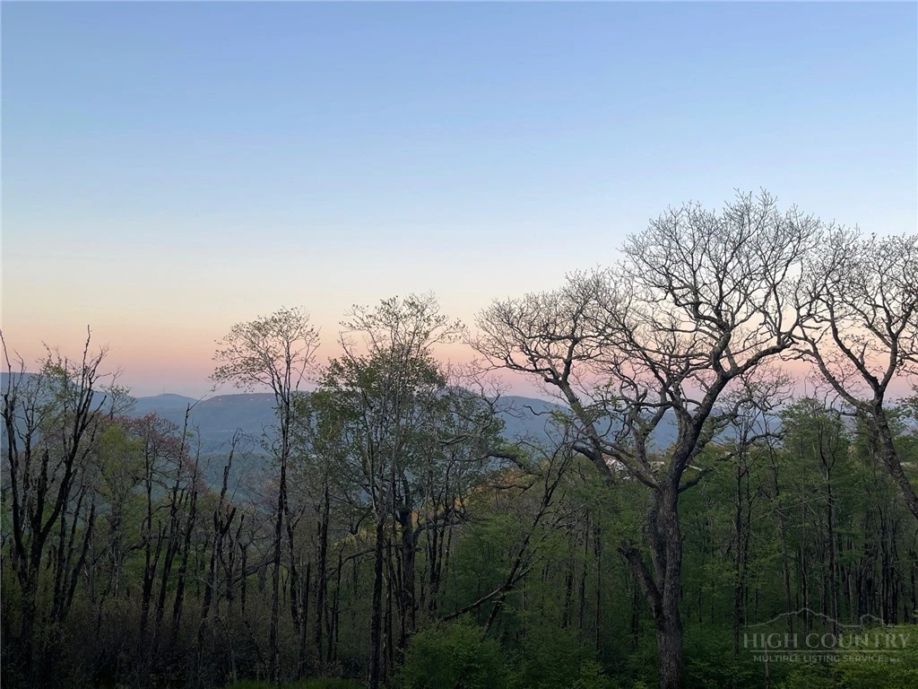 Image number 7 for the current listing