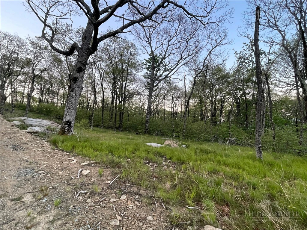 Image number 21 for the current listing