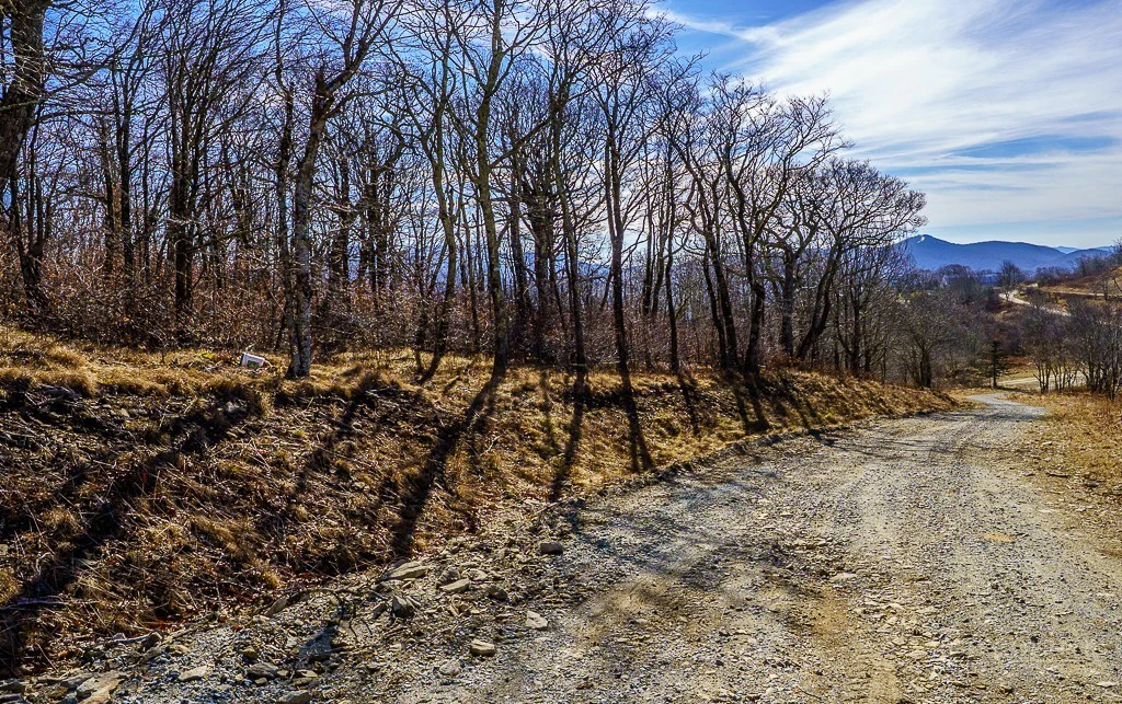 Image number 26 for the current listing